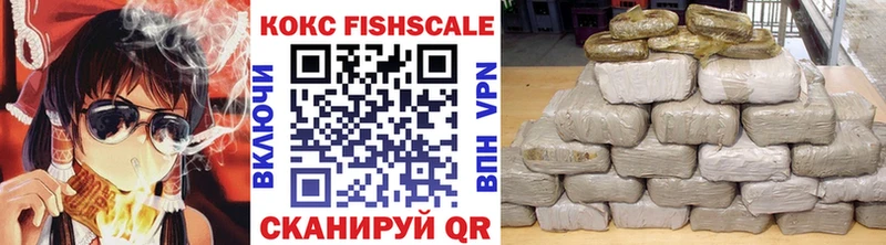 КОКАИН Fish Scale купить наркотики цена Новоузенск