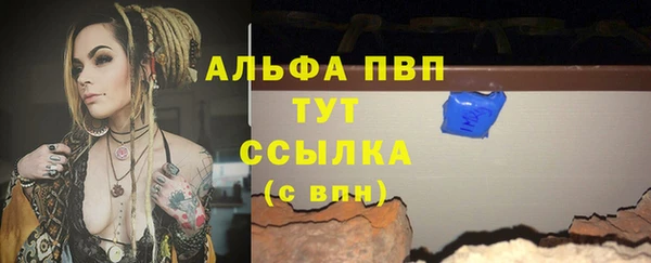 дмт Алексин