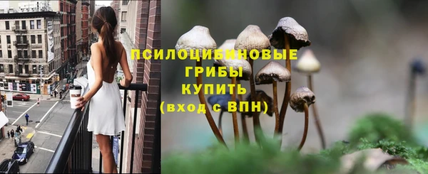 бутират Алзамай