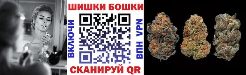 Бошки Шишки план  Новоузенск 